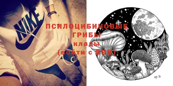 дмт Горняк