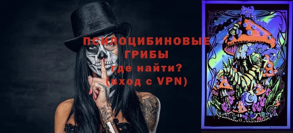 дмт Горняк