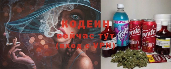 крисы Горно-Алтайск