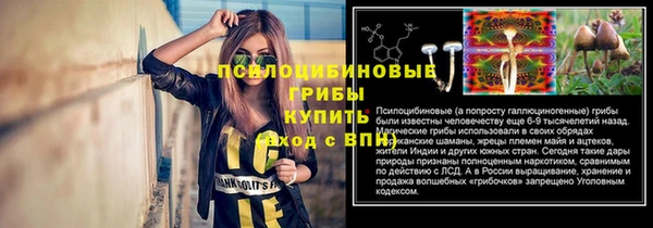 крисы Горно-Алтайск